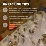 Preview image 5 for 3/4" Crickets (250) by Ovipost