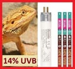 Preview image 1 for Arcadia Dragon 14% UVB T5 Bulb (34" / 39w) by Josh's Frogs