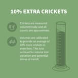 Preview image 4 for 3/4" Crickets (100) by Ovipost