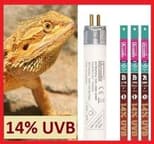 Preview image 1 for Arcadia Dragon 14% UVB T5 Bulb (46" / 54w) by Josh's Frogs