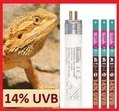 Image for Arcadia Dragon 14% UVB T5 Bulb (46" / 54w) by Josh's Frogs