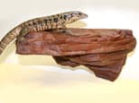 Preview image 1 for MagNaturals Extra Strong Magnetic Rock Ledge (Large - Mojave Red) by Josh's Frogs